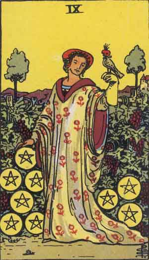 Nine of Pentacles tarot card